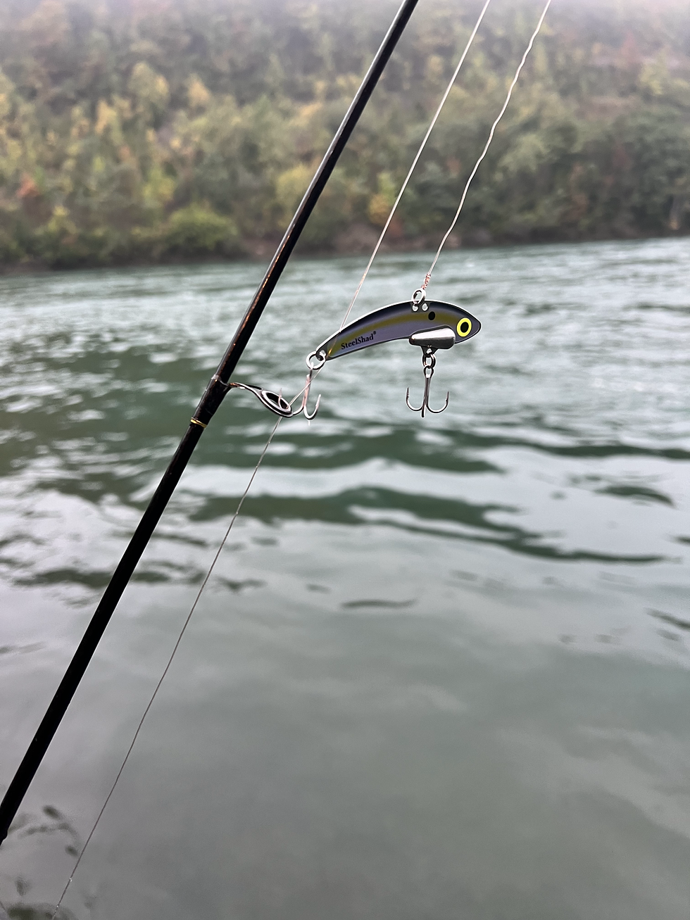 Thumbnail: Steel Shad Bait