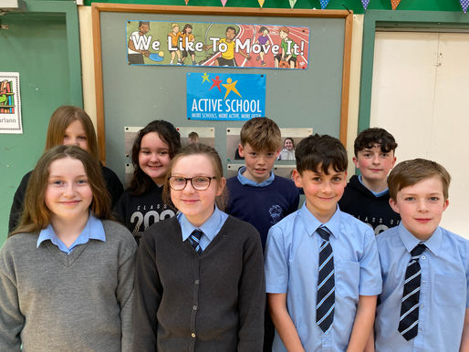 Active School Flag Committee