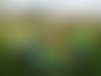 Girls Soccer 5 a Side