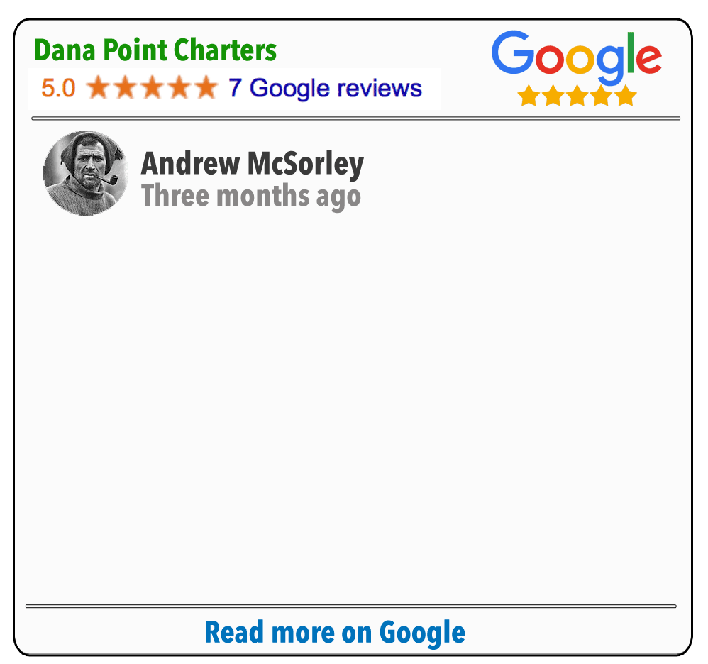 Review-Template-Google.gif