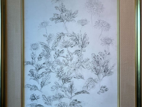 速水御舟「菊」