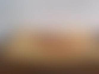 加山又造先生のまな板皿と竹葉亭の鰻