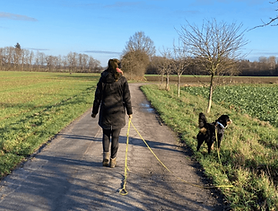 Ein Hundebesitzer geht mit seinem Hund an der Schleppleine über einen Feldweg.