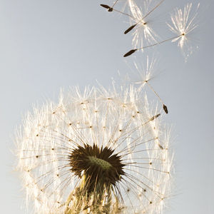 Übernimmst du Verantwortung, die nicht deine ist?