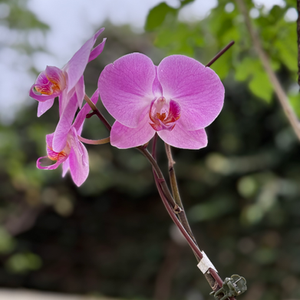 BEGIBST DU DICH MIT GESUNDEN MENSCHEN?