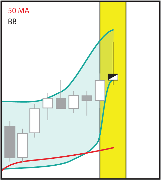 BEAR7.gif