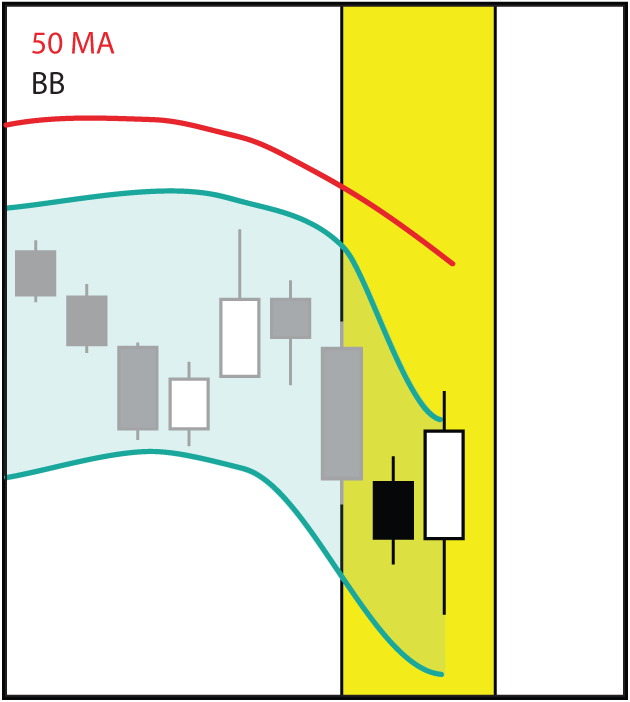 BULL6.gif