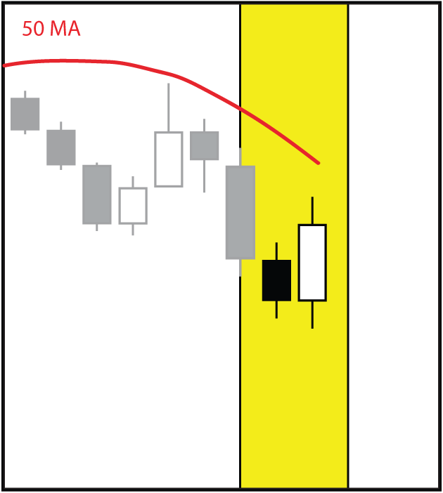 BULL1.gif