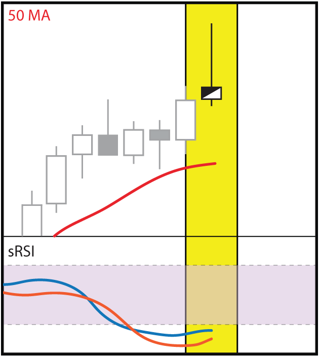 BEAR5.gif