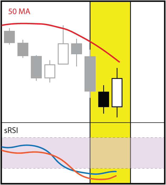 BULL5.gif