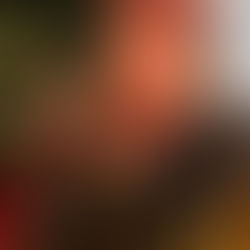 mariés lors d'une cérémonie laïque dans les vosges