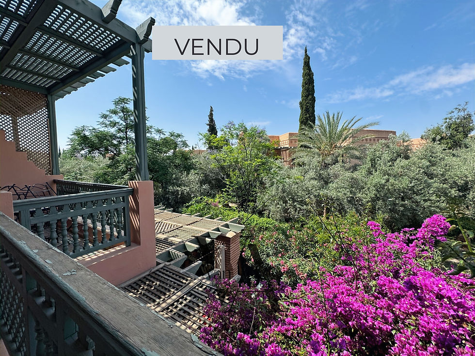 achat appartement palmeraie villa marrakech_edited.jpg