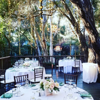Birchwood wedding