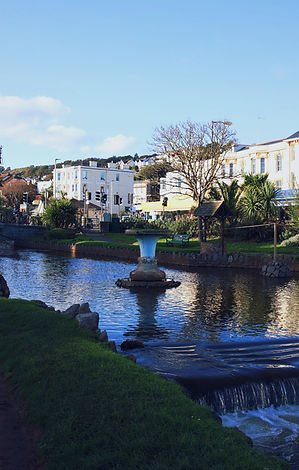 mie's dawlish.JPG