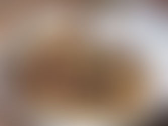 Are Brazil Nuts Safe for Daily Consumption? Pros and Cons Explained