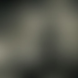 Ending the year on a high note