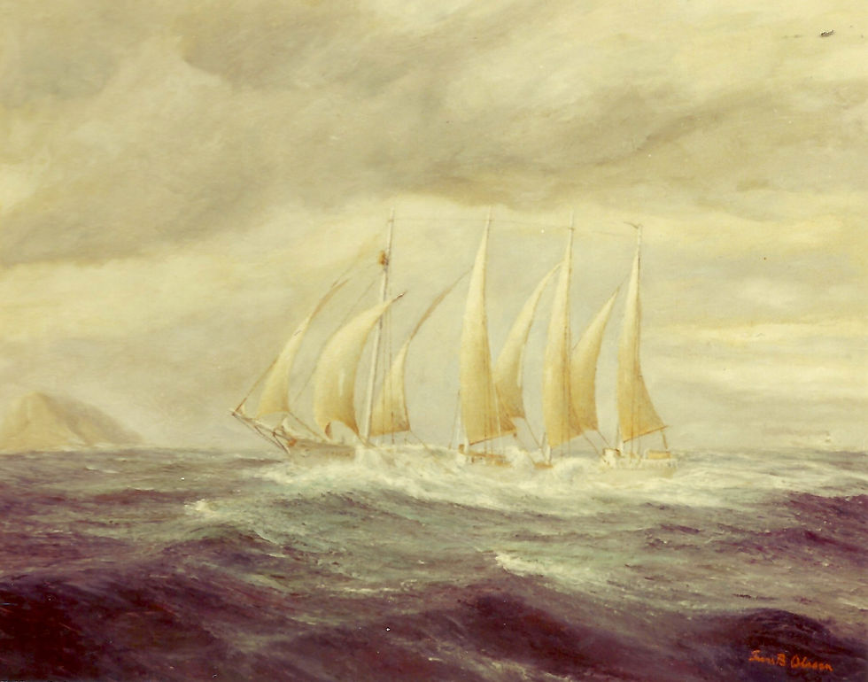 Albatross passing Gibraltar
