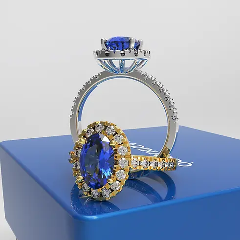 2 ovals.bip.2735 copy.webp