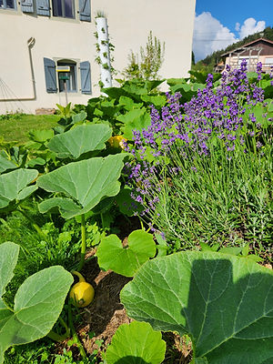 20250729_094801.jpg