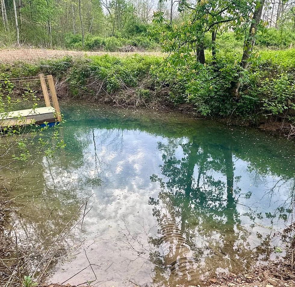 Clear Spring Waters