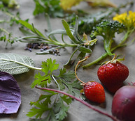 assorted herbs and market gems.JPG