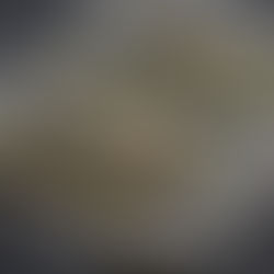 Summer Flavors & Favorite Products