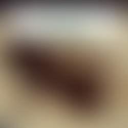 Cook 2 Flourish Birthday Cake