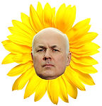 ids high.jpg