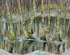 Birch Trees in the Ice low.jpg