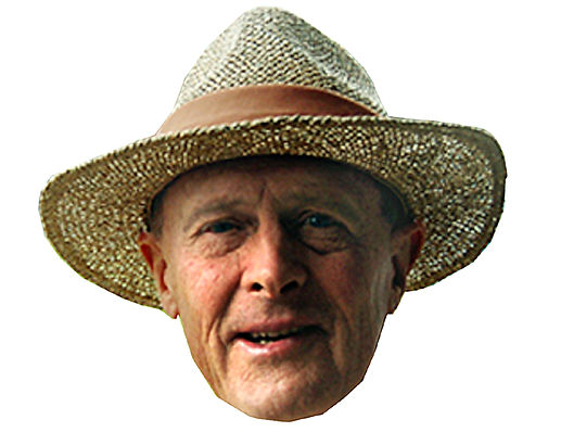 Boycott mask big.jpg