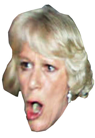 camilla high.jpg