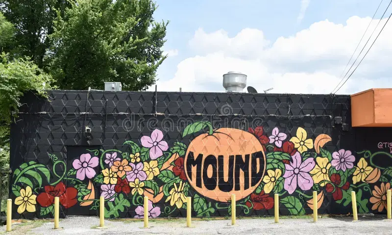 ​Orange Mound: A Pioneer Neighborhood in Memphis
