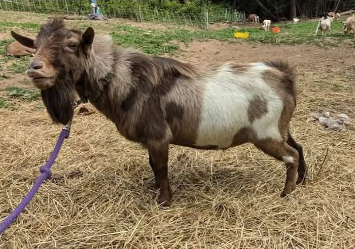 GardenViewFarm F Epic Legend