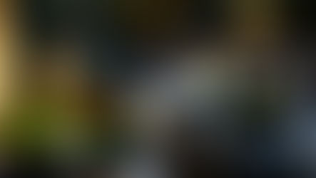 צלילים של תקווה