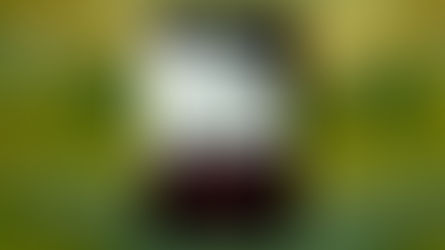 Lean Alba conversó con Elisa Pardo, autora de La búsqueda de Hubertus. El libro es el resultado de una ardua investigación que reconstruye el paso del jerarca nazi Ludolf Von Alvensleben por dicha ciudad.