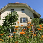 Ankenland Bottenwil
