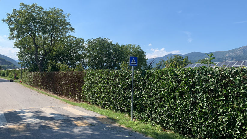 4EA8051E-1D72-4AFD-88D6-C092BD563A91.JPG