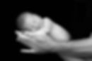 Newborn Photography