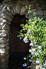DSC02917.jpeg