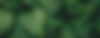 AdobeStock_361438229.jpeg