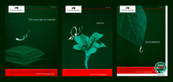 Cathay Pacific Campaign