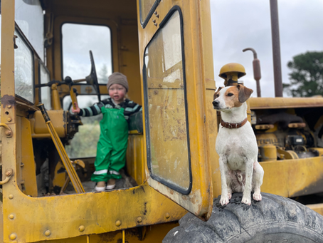 Growing Up Together: Teaching Your Child How To Love and Respect Dogs.