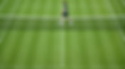 Wimbledon 2026 : Le guide TV des passionnés de tennis pour échapper à la folie du foot