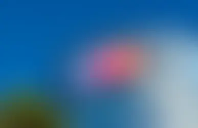 TF1 et Renault révolutionnent les pauses estivales : La TV s'invite dans votre voiture à l'arrêt !