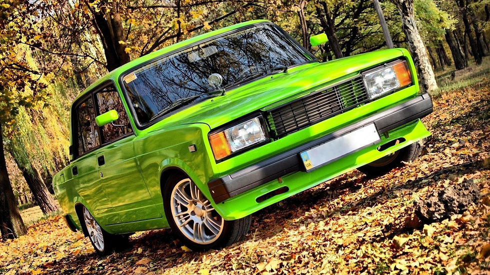 lada,-laub-247640 (1).jpg