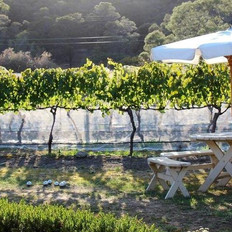 Hobart Vineyards