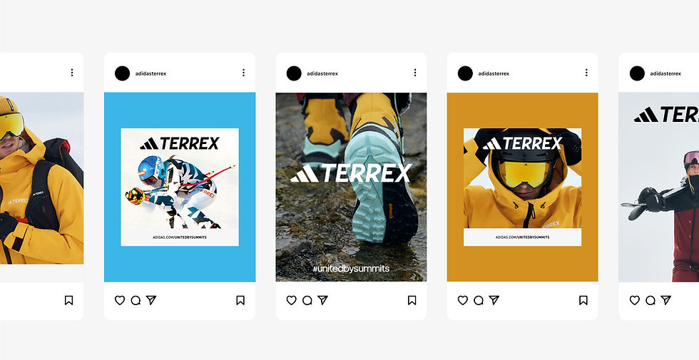 Adidas Terrex collection on Instagram, social media advertising campaign posts shown
