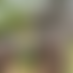 President Lincoln's Cottage Wedding Flowers: A Florist's Complete Guide to Budget, Venues & Historic Elegance