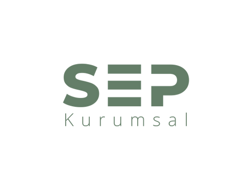 Yetenek Kaybını Durdurun, Liderlerinizi Yaratın: Etkili Mentorluk Programı Rehberi