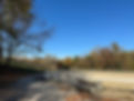 IMG_7324.jpeg